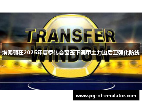 埃弗顿在2025年夏季转会窗签下德甲主力边后卫强化防线 埃弗顿在2025年夏季转会窗签下德甲主力边后卫强化防线