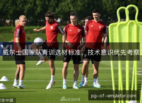 威尔士国家队青训选材标准，技术意识优先考察
